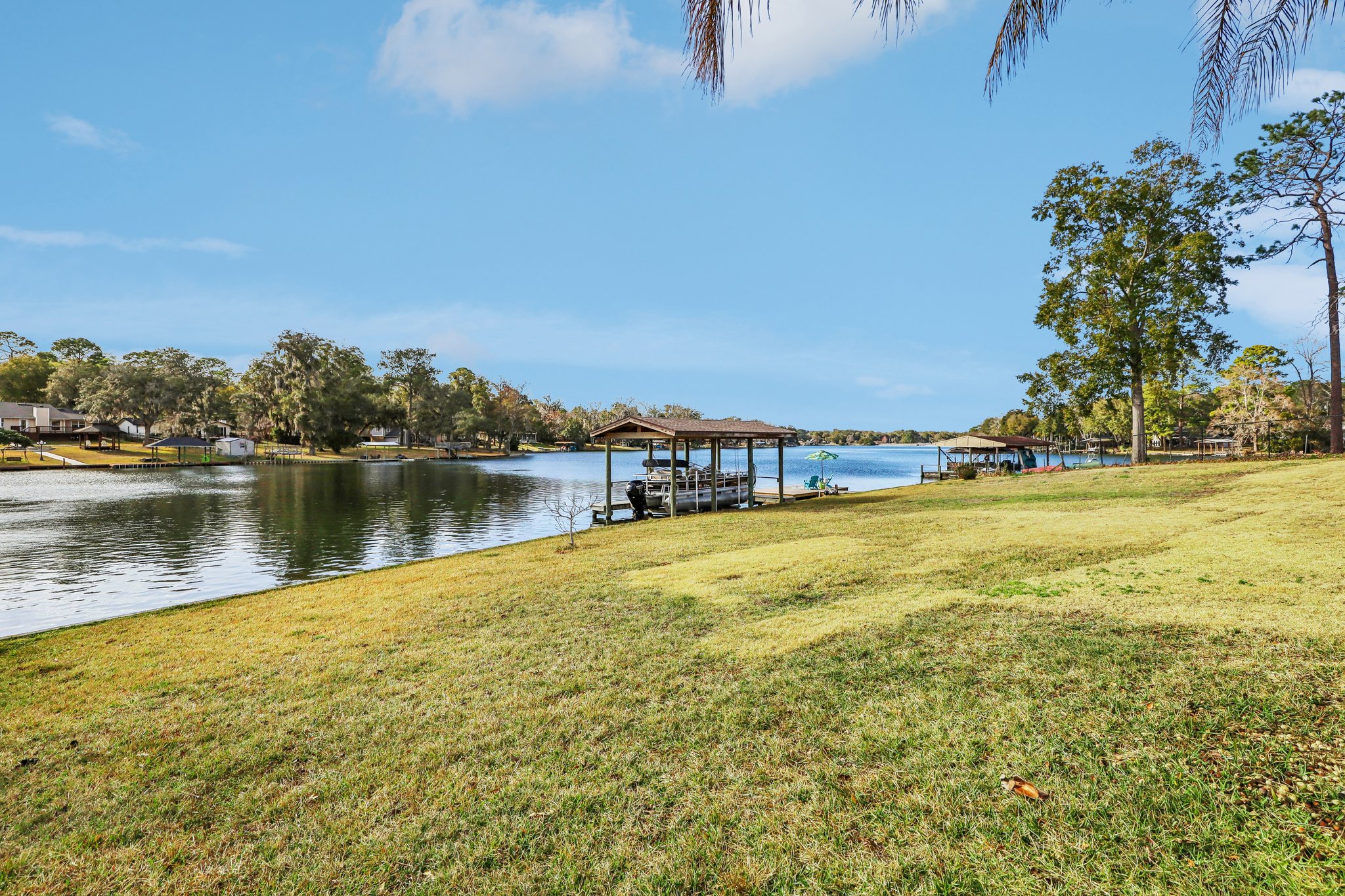 Jessie Lee Ct-S1802-051.jpg