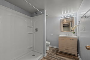 Basement Bath with Step In Shower