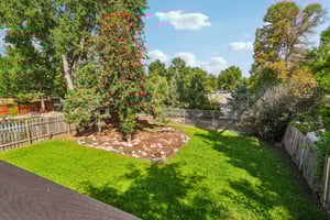 Amherst St-S0909-038.jpg