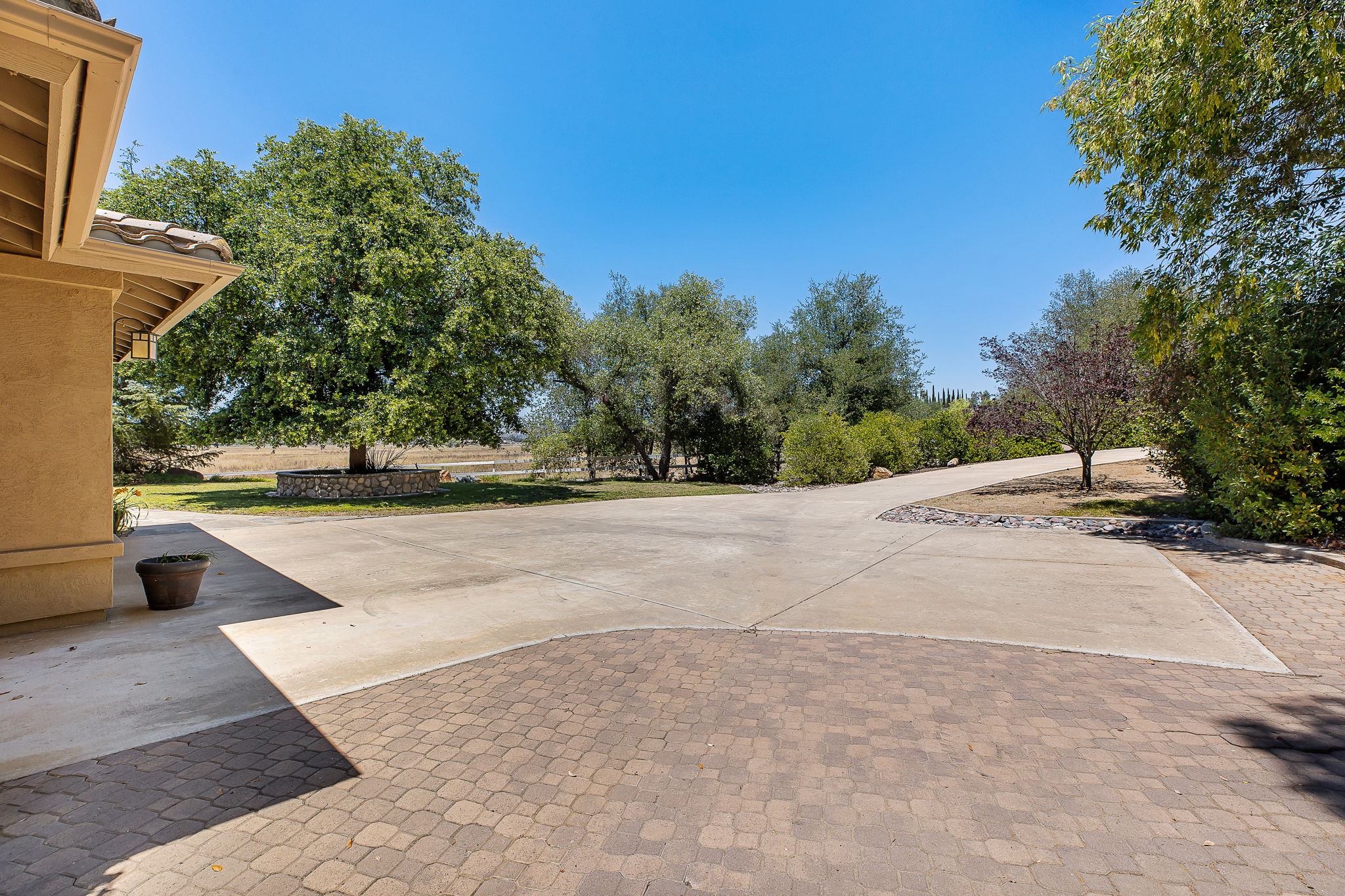 Southern Oak008
