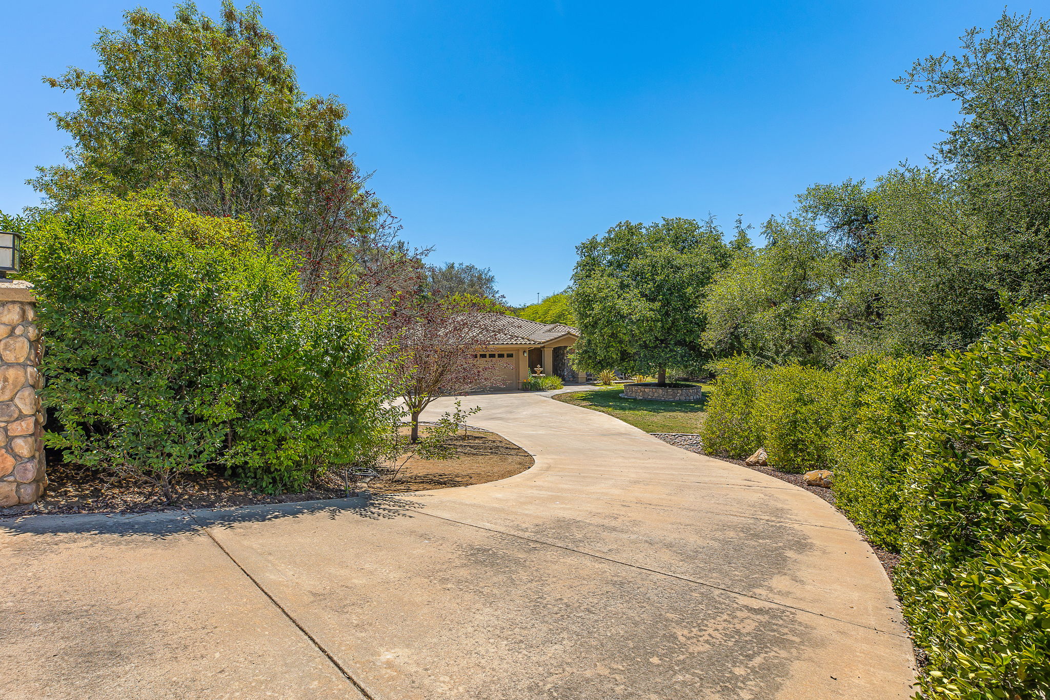 Southern Oak011
