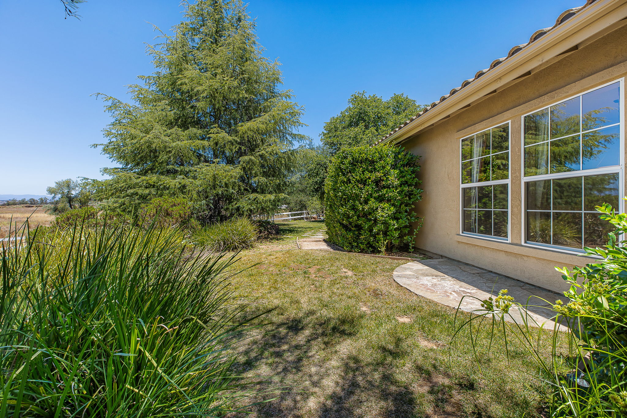 Southern Oak016