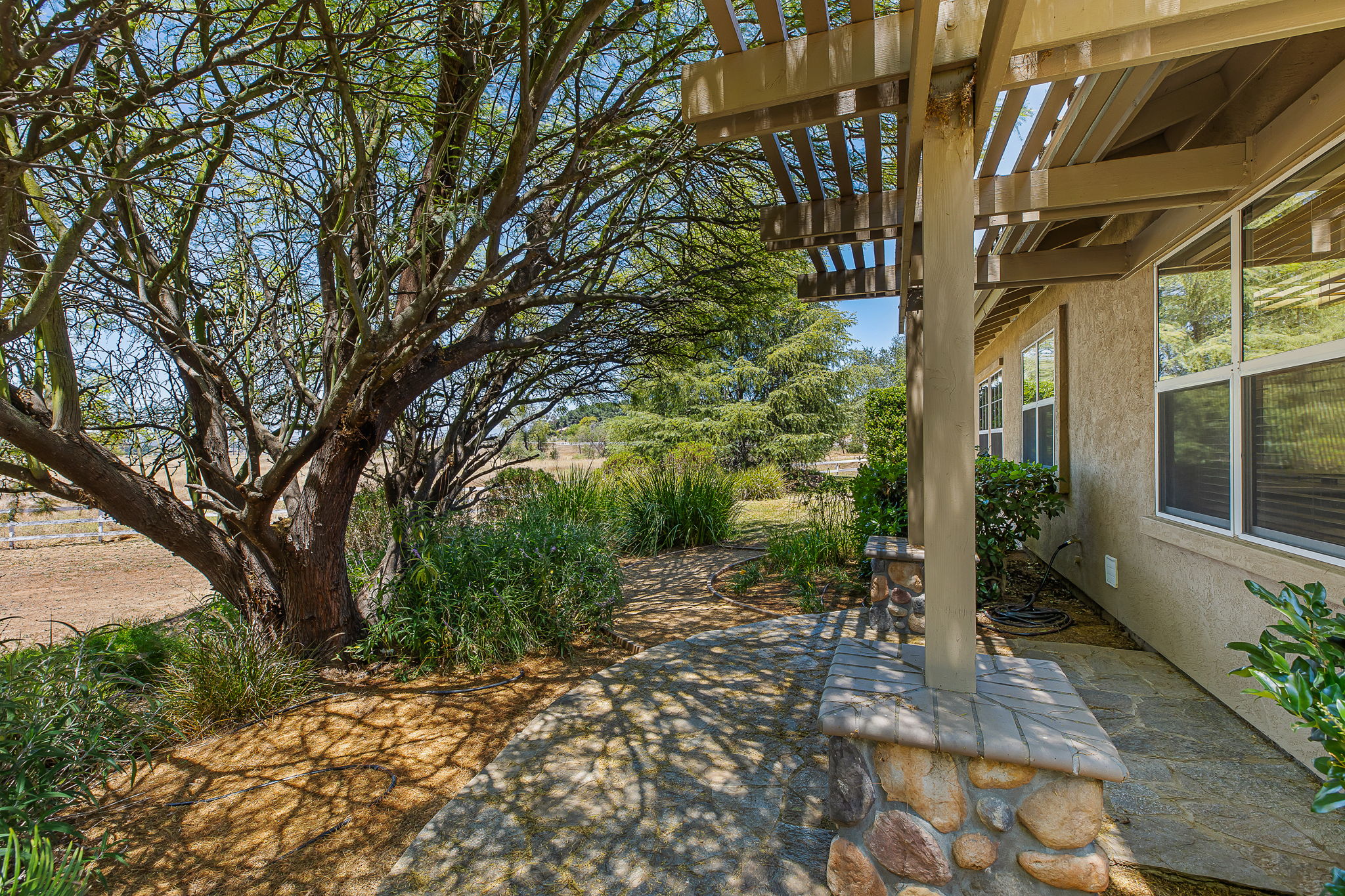 Southern Oak018
