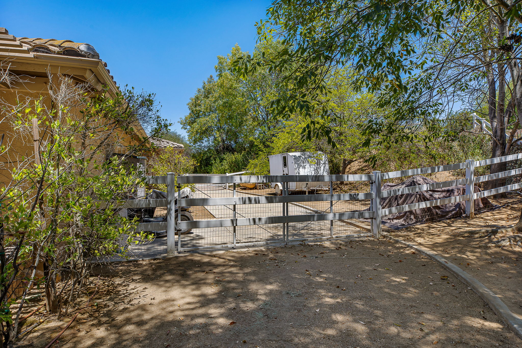Southern Oak024