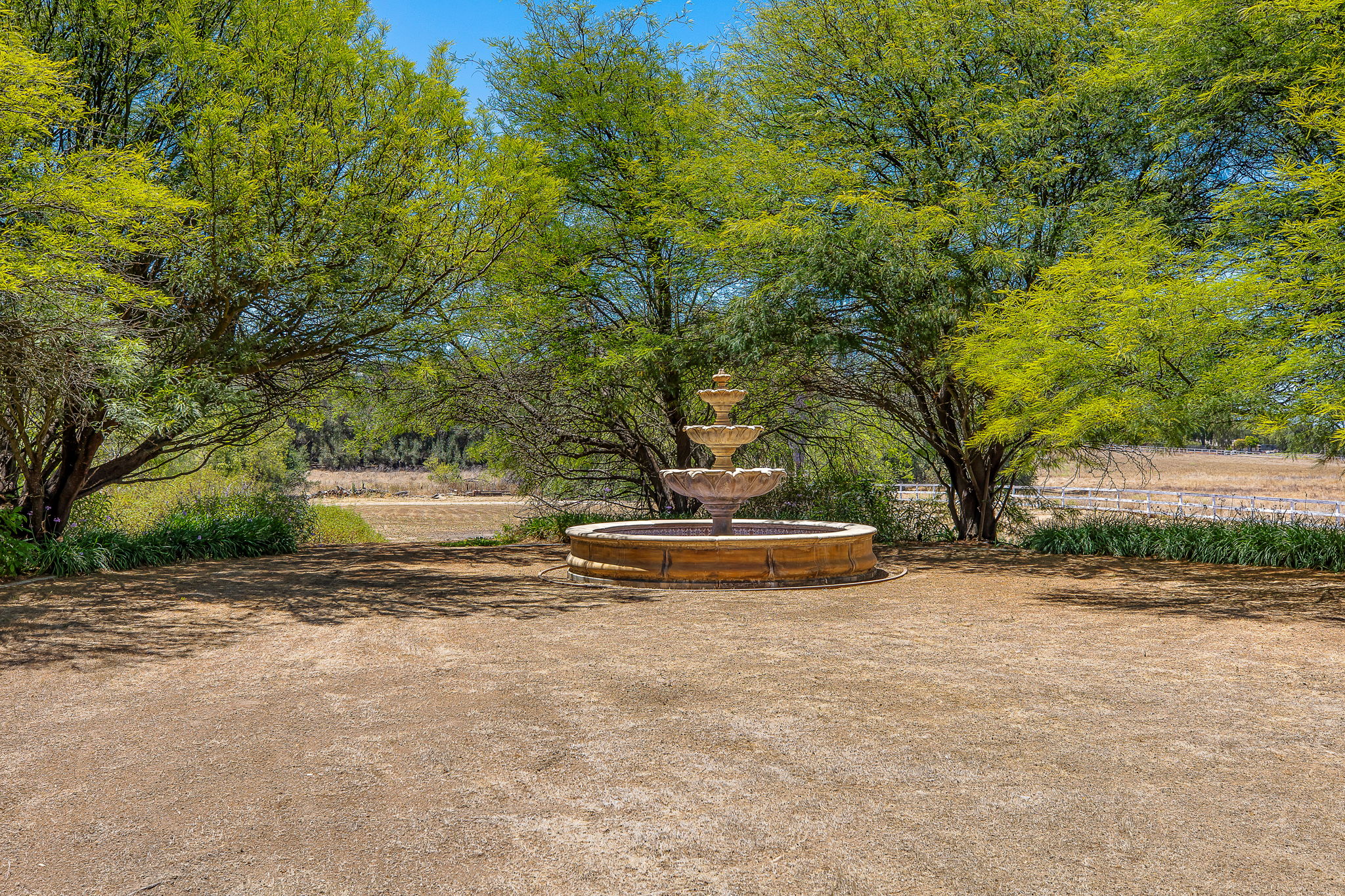 Southern Oak027