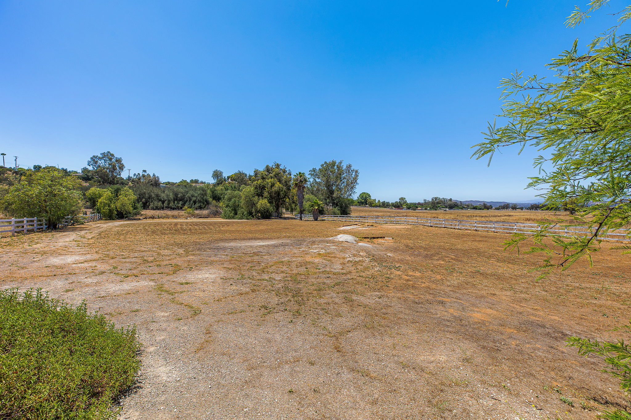 Southern Oak029
