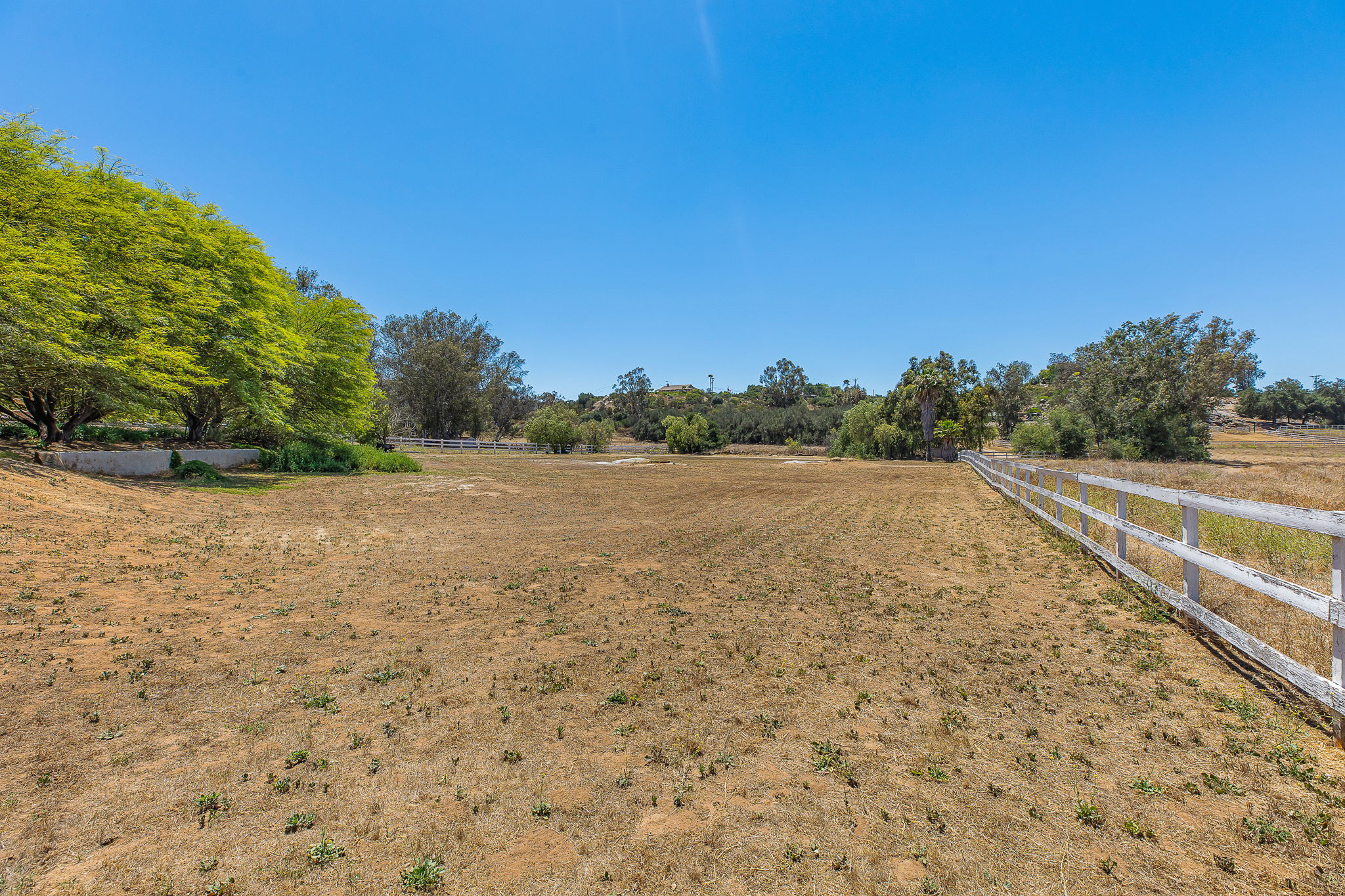 Southern Oak032