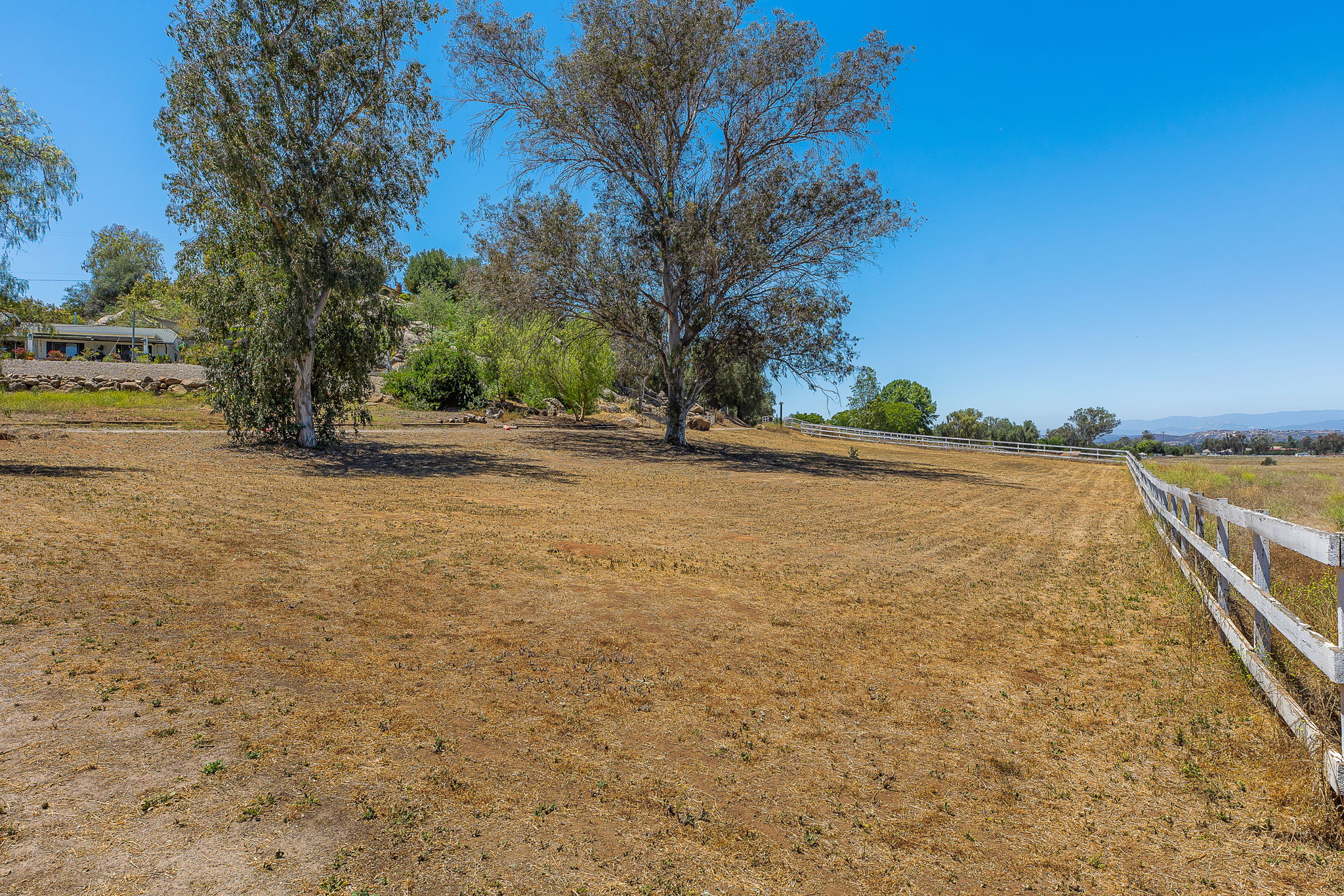 Southern Oak036