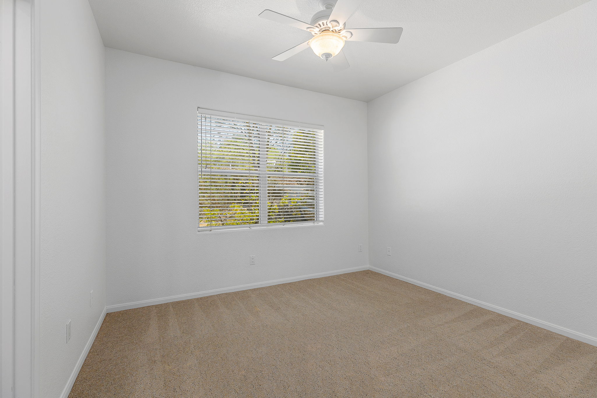 Southern Oak062