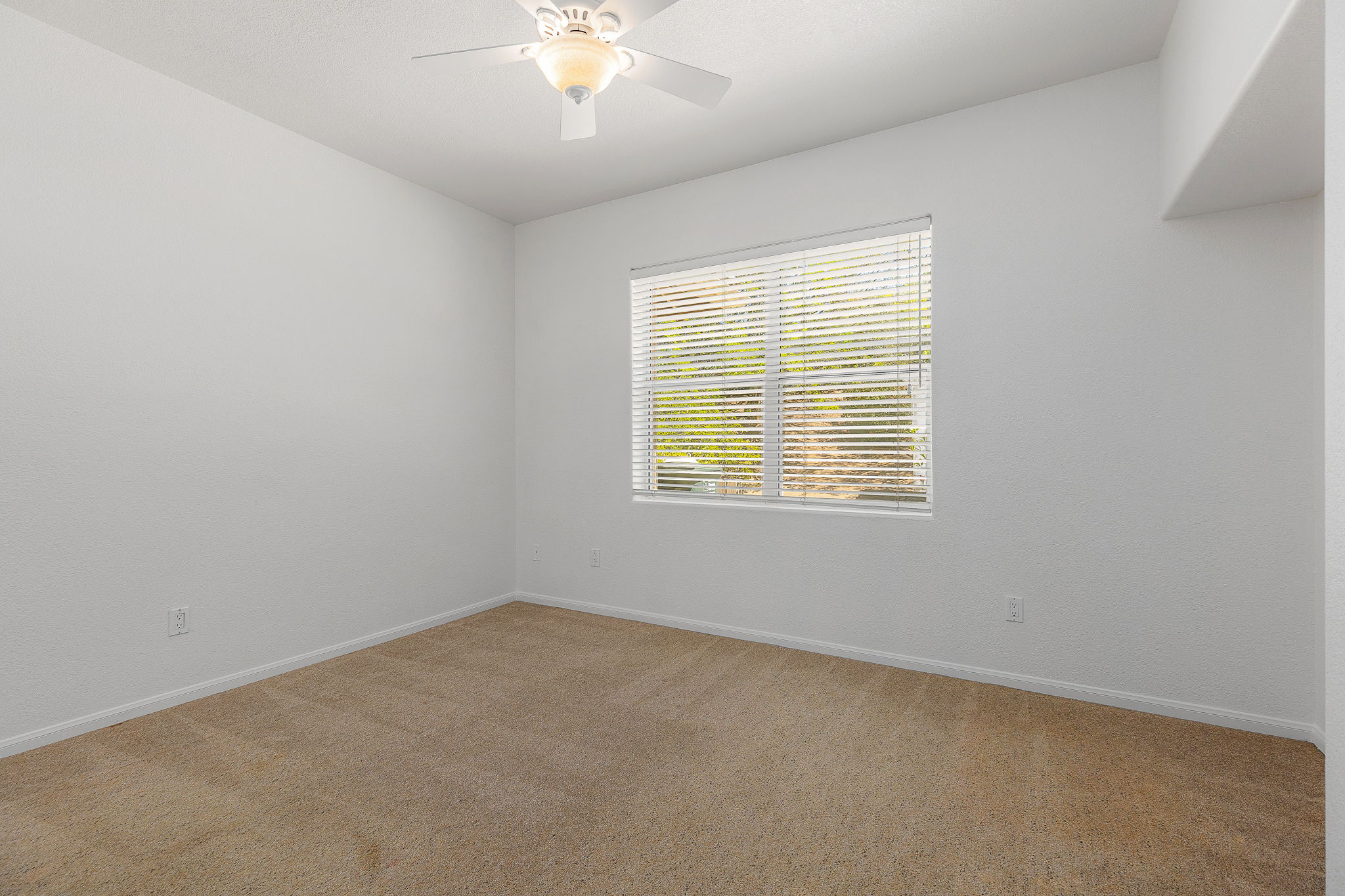 Southern Oak066