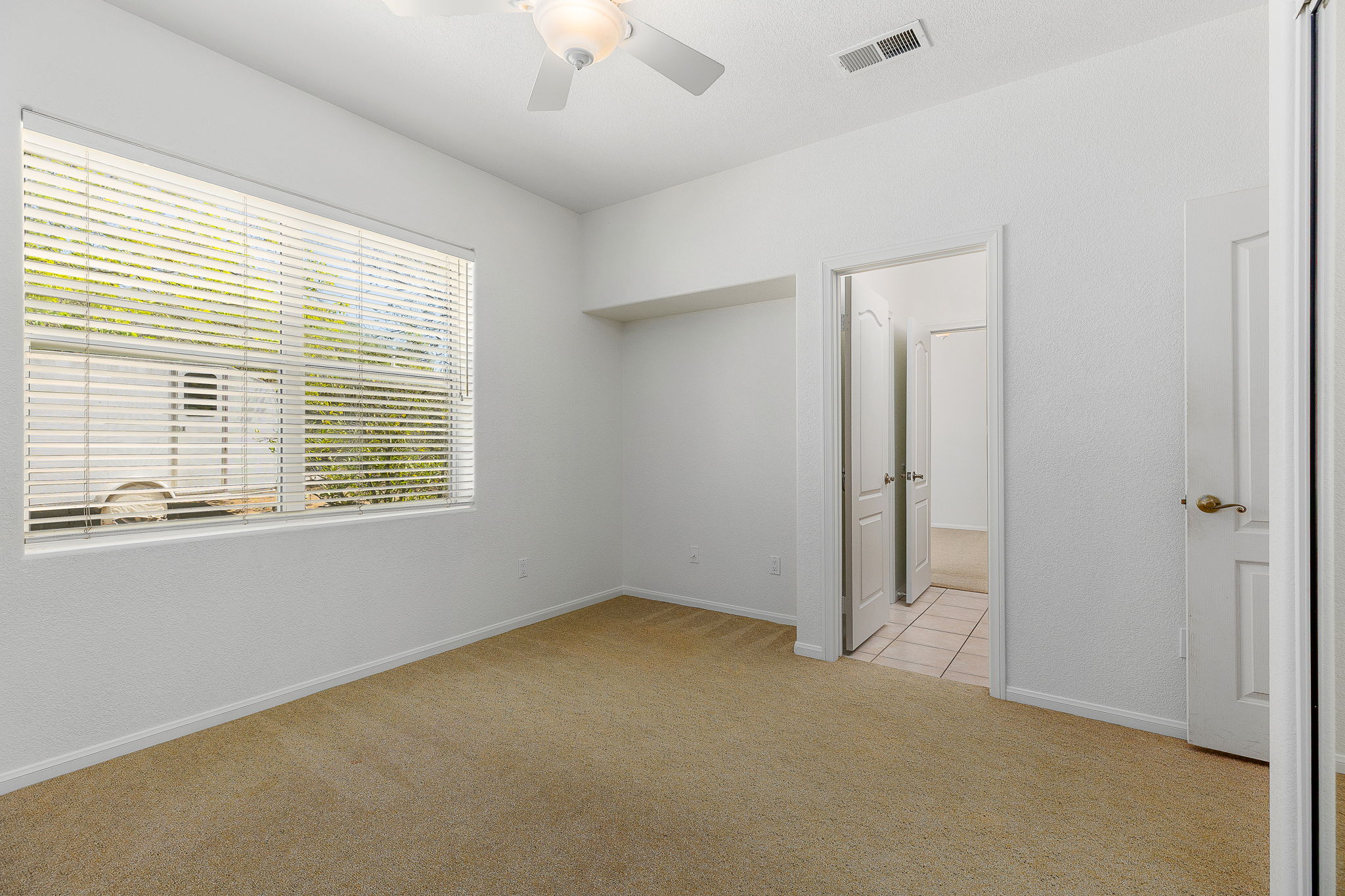 Southern Oak067