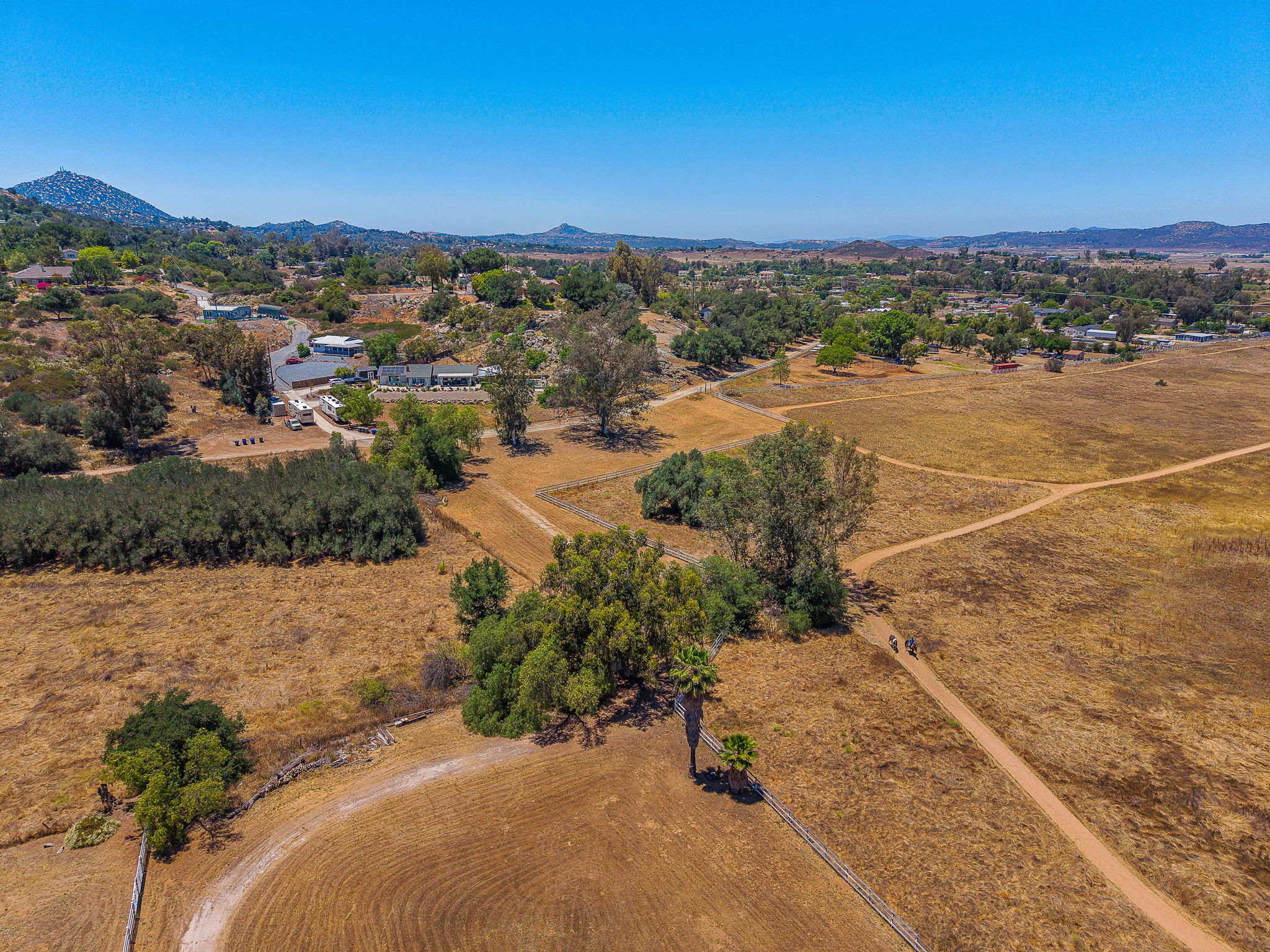Southern Oak085
