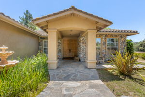 Southern Oak001