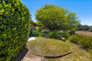 Southern Oak013