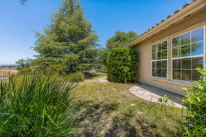Southern Oak016