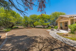 Southern Oak023