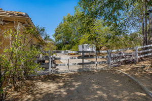 Southern Oak024