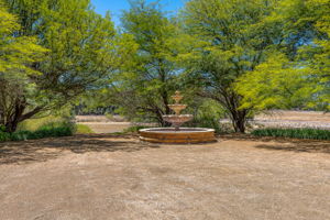 Southern Oak027