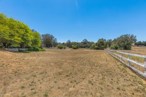 Southern Oak032