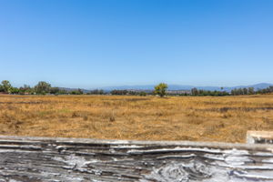 Southern Oak033