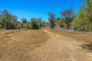 Southern Oak035