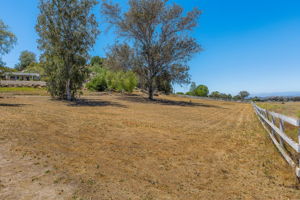 Southern Oak036