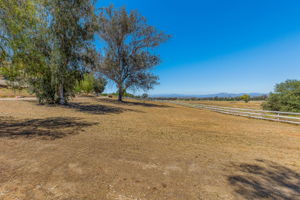 Southern Oak037