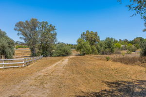 Southern Oak038
