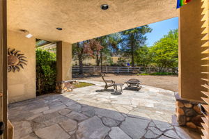 Southern Oak054
