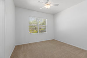 Southern Oak062