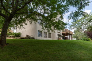 51-Back View
