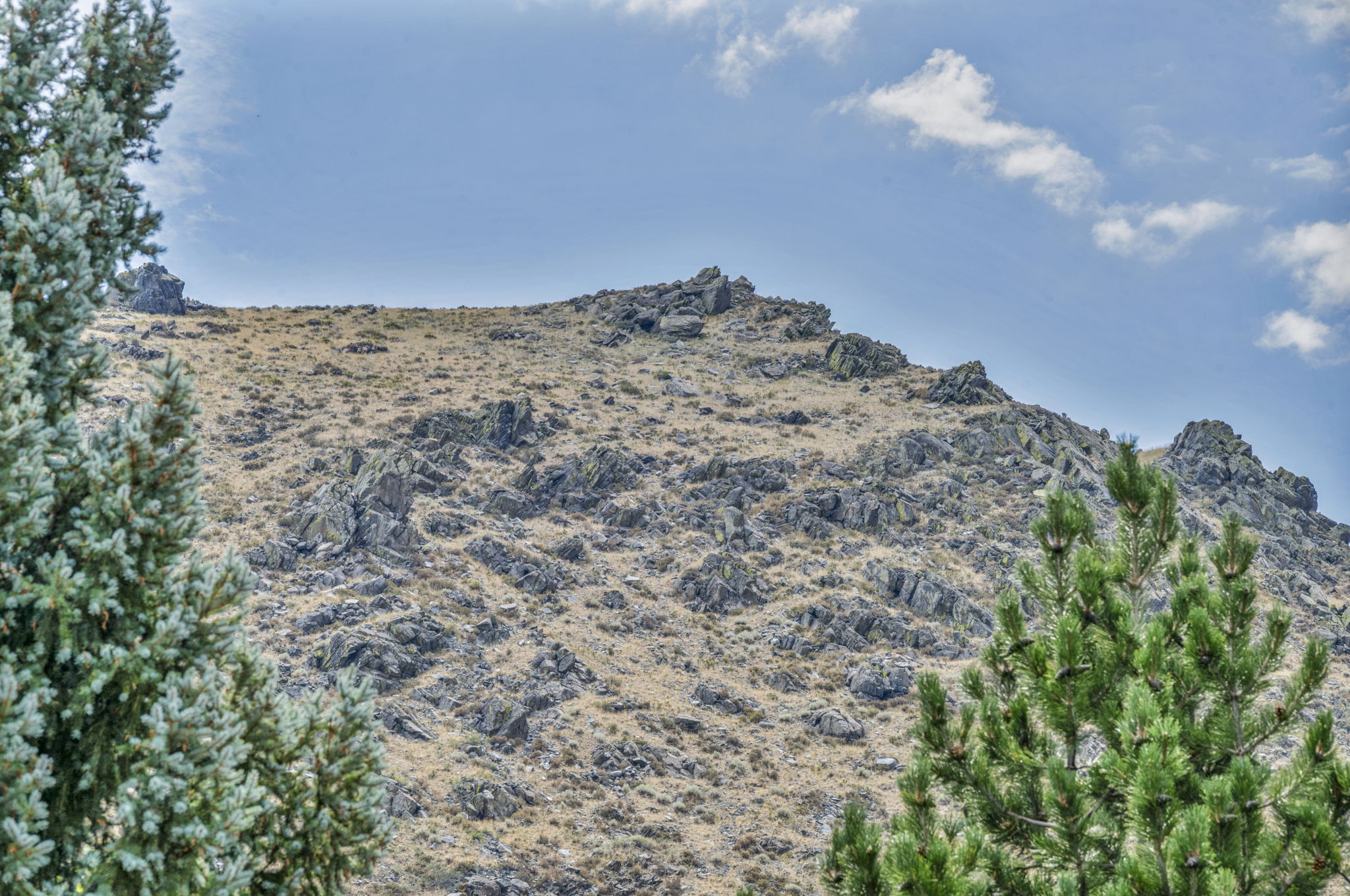  Photo 22
