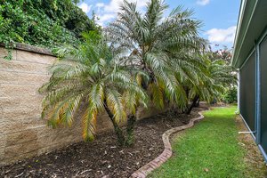 Rear Privacy Wall with Tropical Landscaping