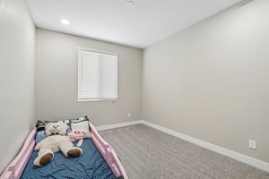 N 142 Dr-S1708-018.jpg