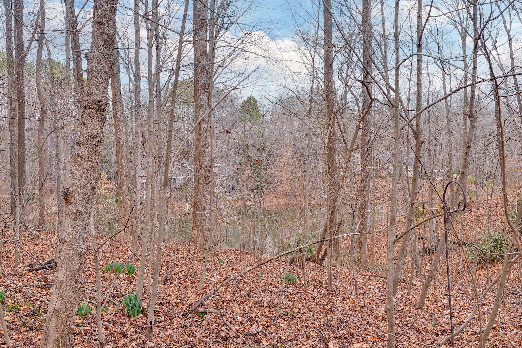  Photo 42