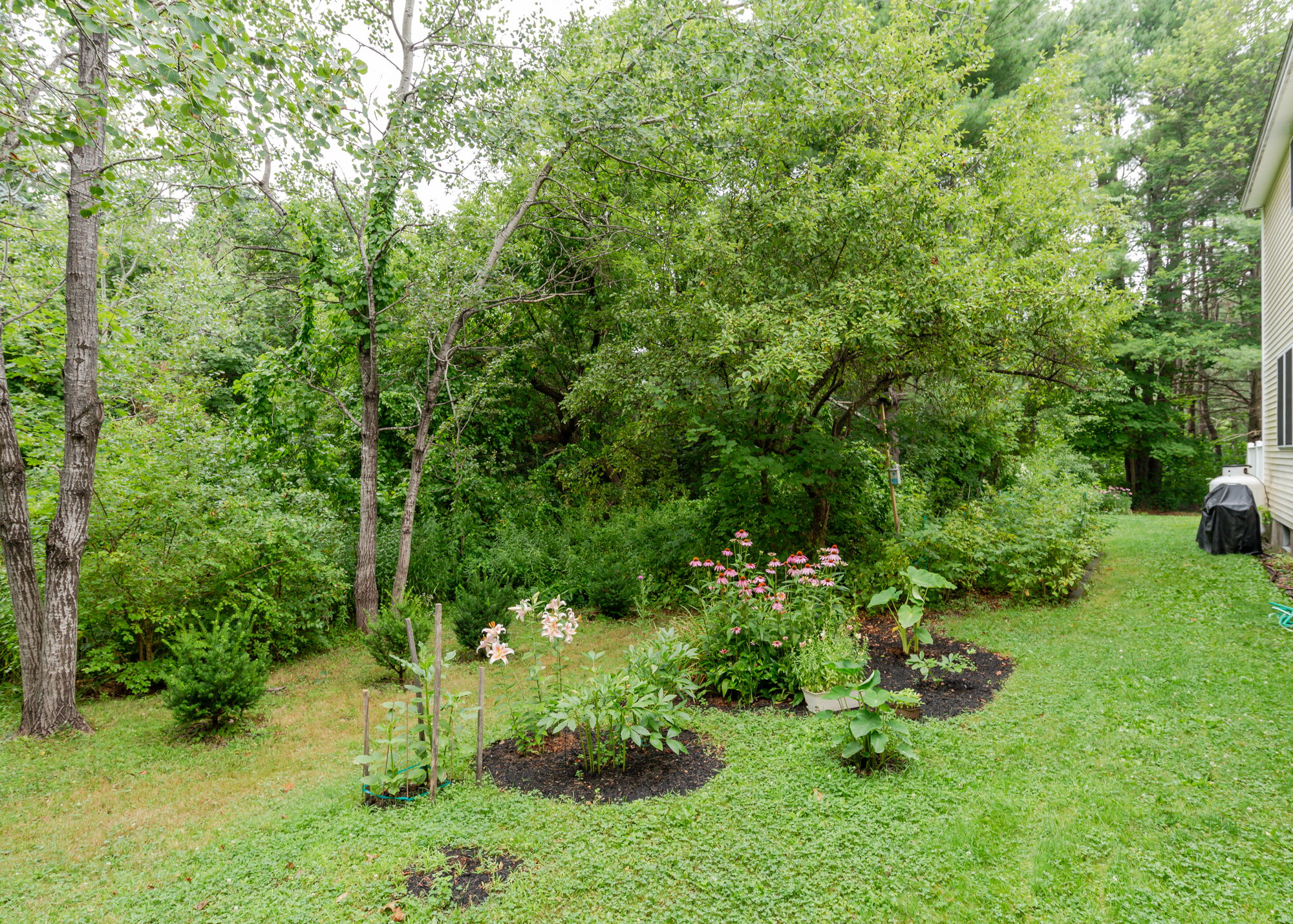  Photo 40