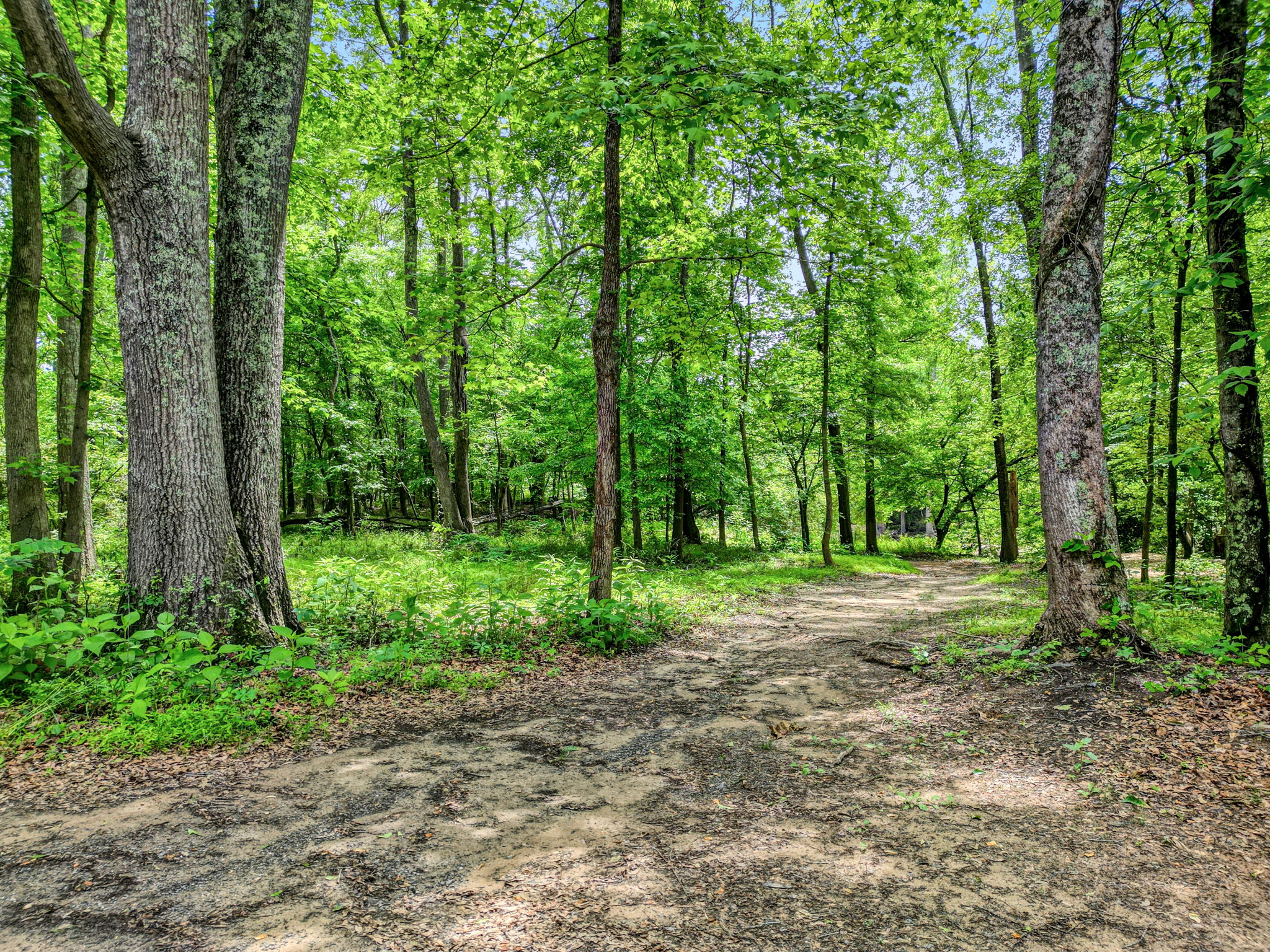 Community Nature Trail