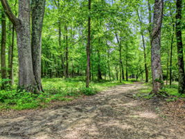 Community Nature Trail