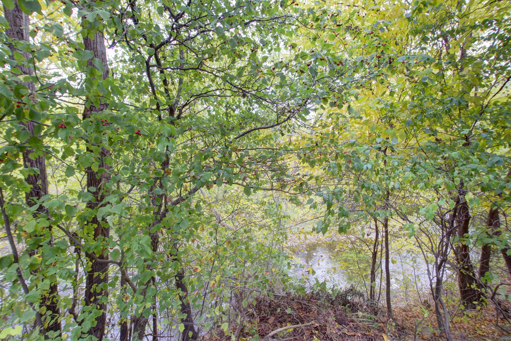  Photo 39