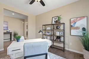 245 Gregorgio Ct., Reno, NV 89521, USA Photo 25