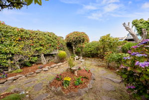  Photo 45