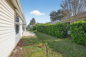 Rear Patio with Privacy Landscaping