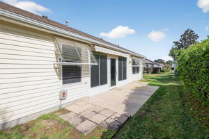 Rear Patio with Privacy Landscaping