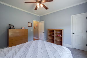  Photo 45