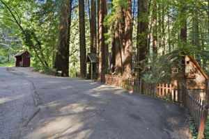  Photo 48