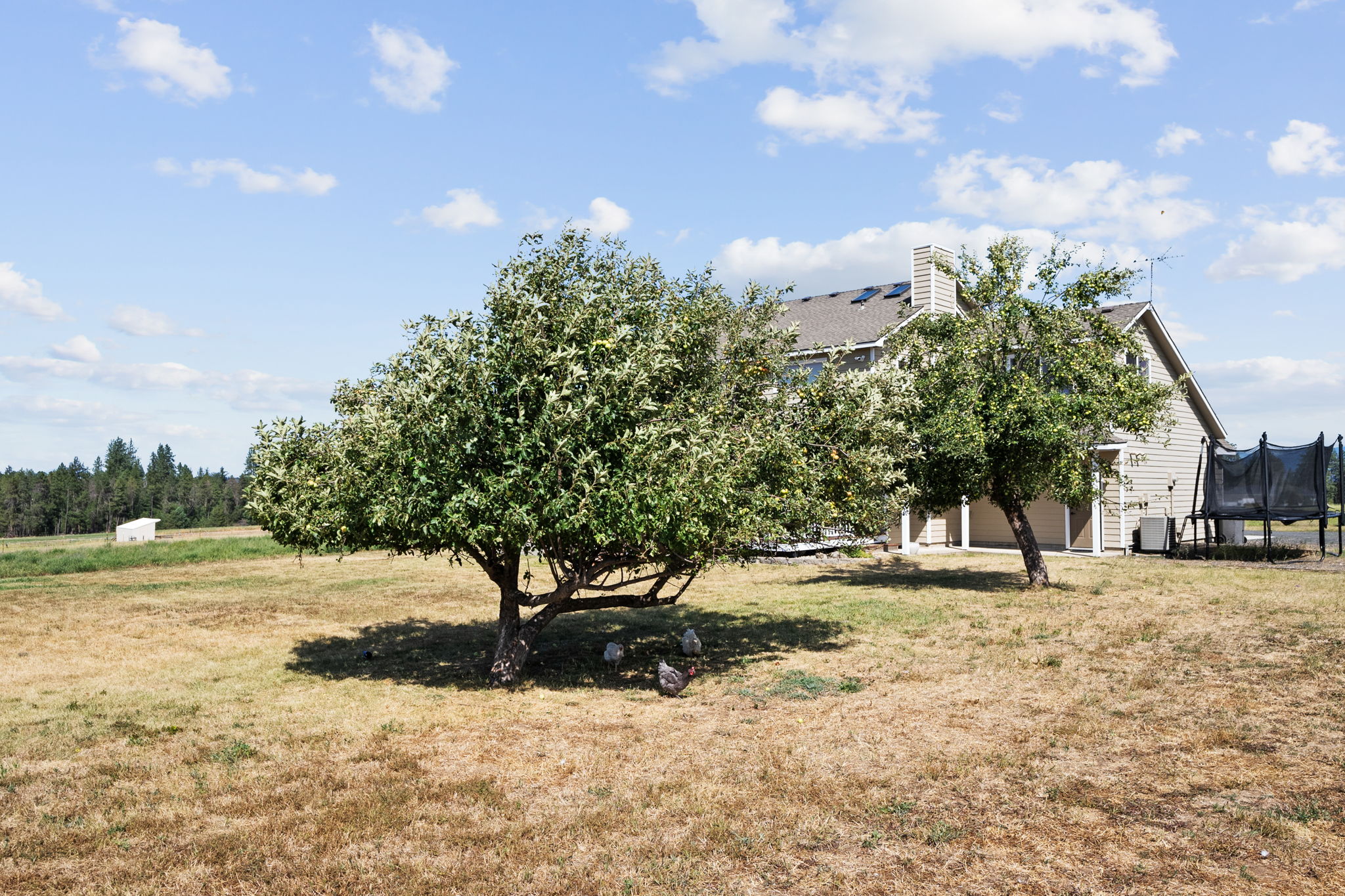  Photo 40