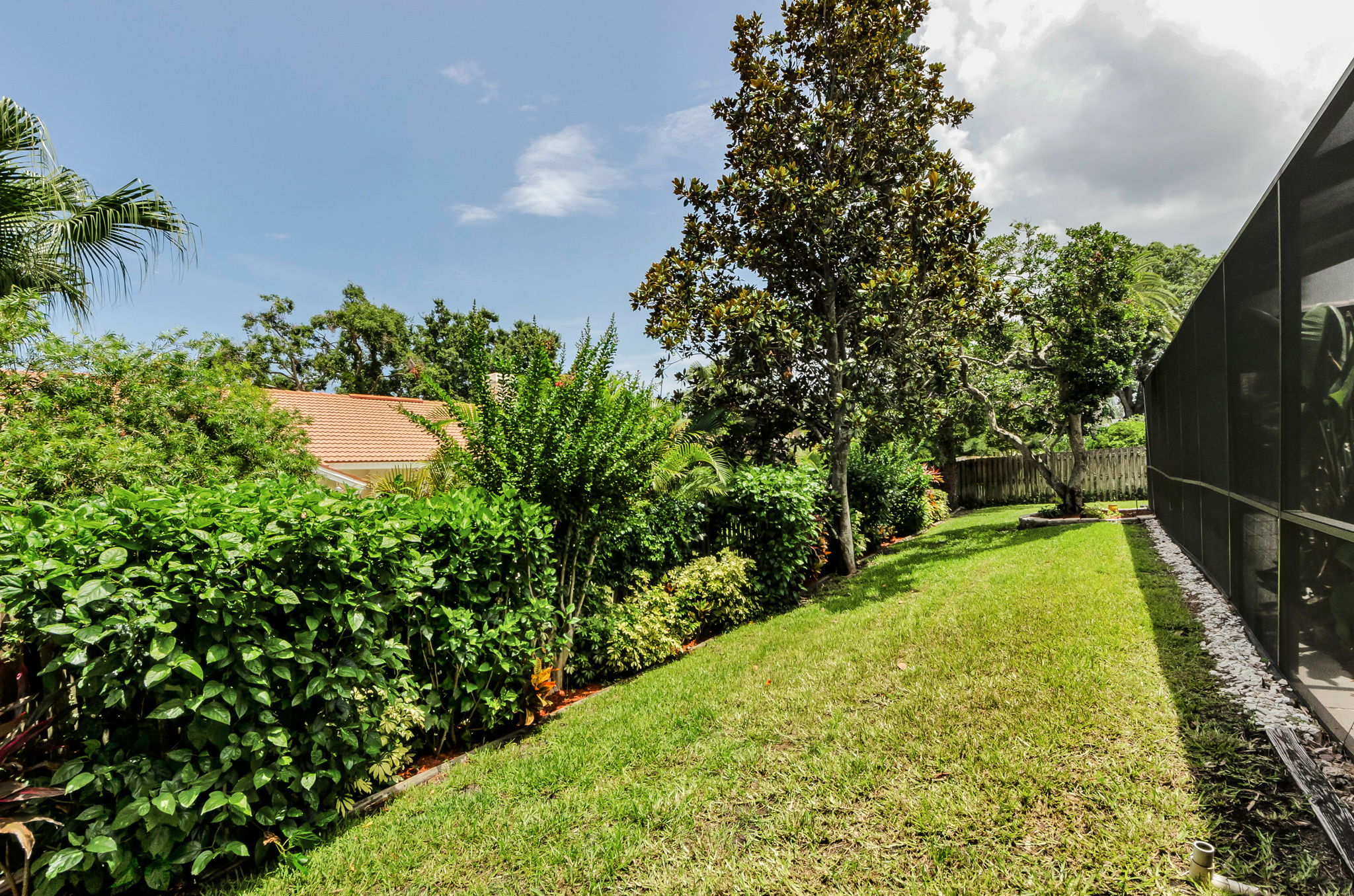 Backyard 3