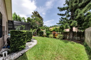 Backyard 1