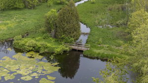  Photo 51