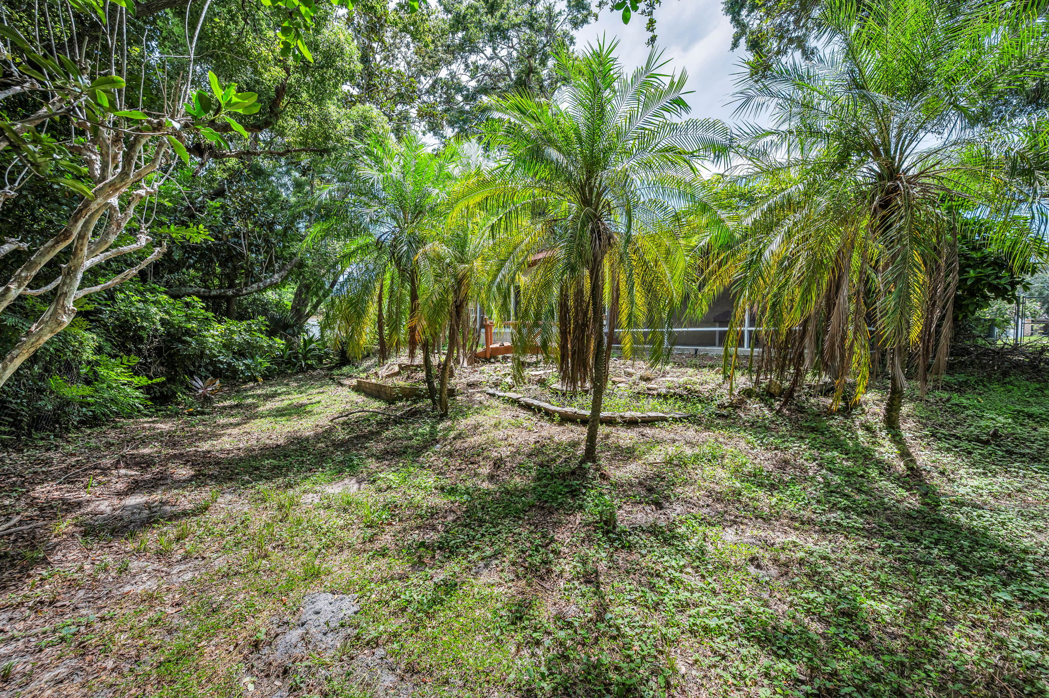 Backyard4